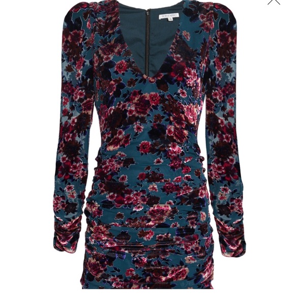 Ronny Kobo Floral Velvet Mini Dress - Picture 1 of 8